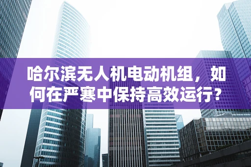哈尔滨无人机电动机组，如何在严寒中保持高效运行？