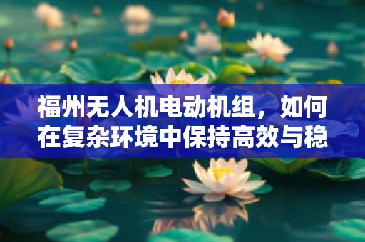 福州无人机电动机组，如何在复杂环境中保持高效与稳定？