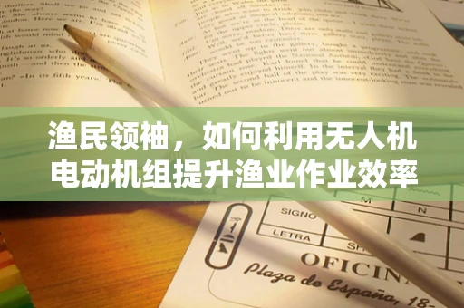 渔民领袖，如何利用无人机电动机组提升渔业作业效率？