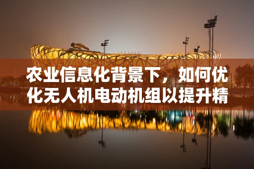 农业信息化背景下，如何优化无人机电动机组以提升精准作业效率？