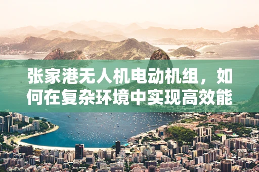 张家港无人机电动机组，如何在复杂环境中实现高效能？