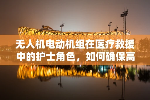 无人机电动机组在医疗救援中的护士角色，如何确保高效与安全？