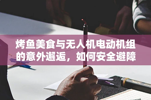 烤鱼美食与无人机电动机组的意外邂逅，如何安全避障？