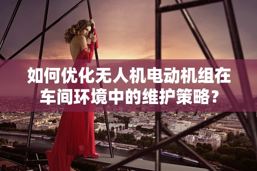 如何优化无人机电动机组在车间环境中的维护策略？