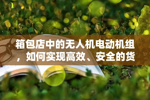 箱包店中的无人机电动机组，如何实现高效、安全的货物运输？