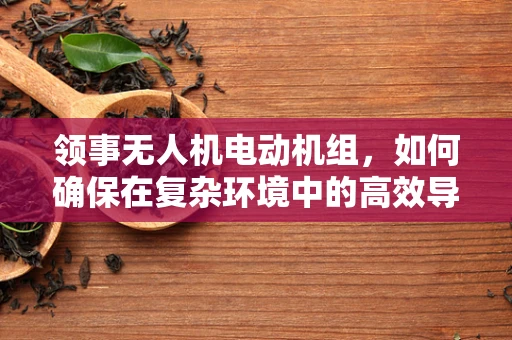 领事无人机电动机组，如何确保在复杂环境中的高效导航与安全？