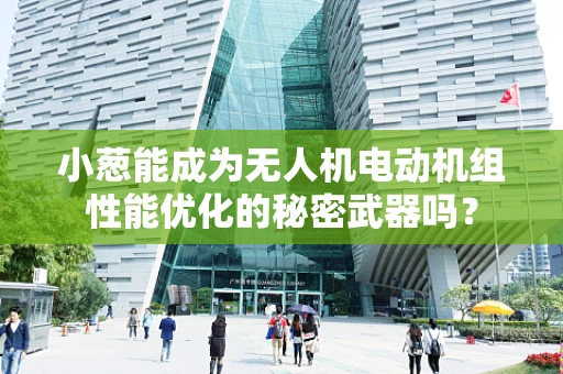 小葱能成为无人机电动机组性能优化的秘密武器吗？