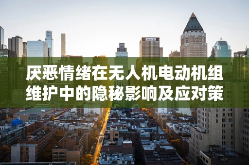 厌恶情绪在无人机电动机组维护中的隐秘影响及应对策略