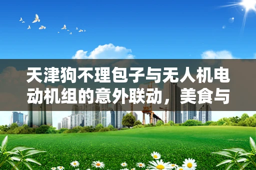 天津狗不理包子与无人机电动机组的意外联动，美食与科技的奇妙碰撞