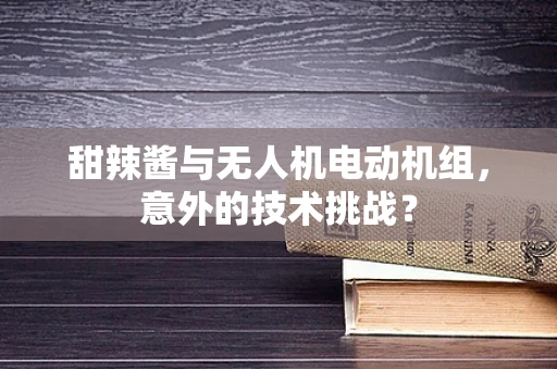 甜辣酱与无人机电动机组，意外的技术挑战？