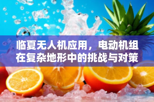 临夏无人机应用，电动机组在复杂地形中的挑战与对策