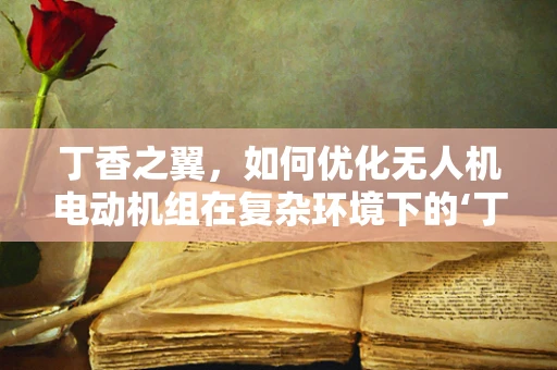 丁香之翼，如何优化无人机电动机组在复杂环境下的‘丁香’穿梭能力？