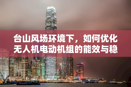 台山风场环境下，如何优化无人机电动机组的能效与稳定性？