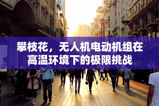 攀枝花，无人机电动机组在高温环境下的极限挑战