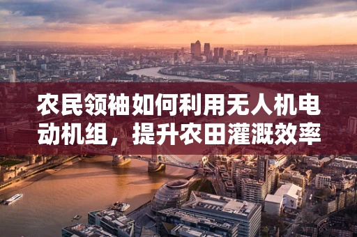 农民领袖如何利用无人机电动机组，提升农田灌溉效率？