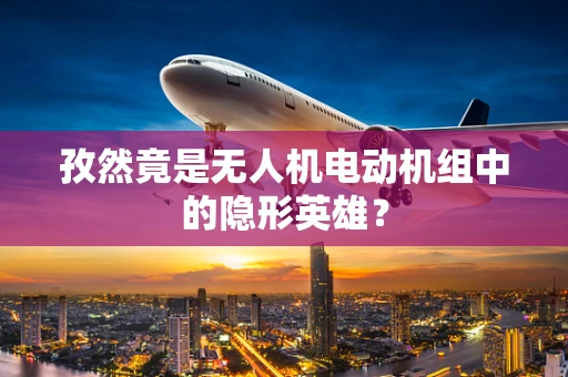 孜然竟是无人机电动机组中的隐形英雄？