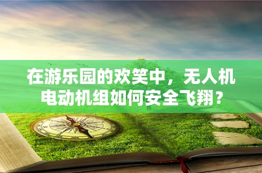 在游乐园的欢笑中，无人机电动机组如何安全飞翔？