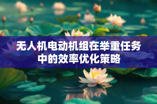 无人机电动机组在举重任务中的效率优化策略