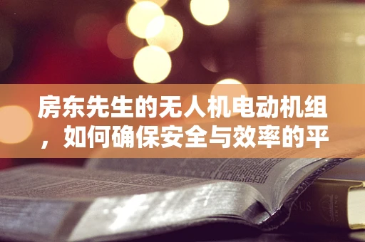 房东先生的无人机电动机组，如何确保安全与效率的平衡？