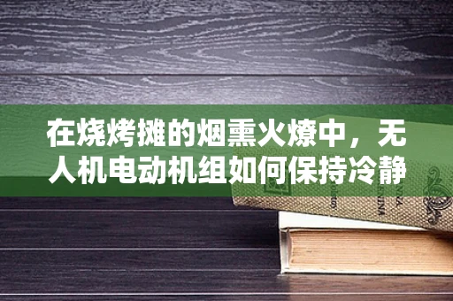 在烧烤摊的烟熏火燎中，无人机电动机组如何保持冷静？