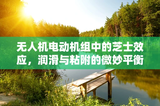 无人机电动机组中的芝士效应，润滑与粘附的微妙平衡