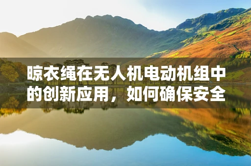 晾衣绳在无人机电动机组中的创新应用，如何确保安全与效率？