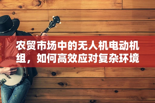 农贸市场中的无人机电动机组，如何高效应对复杂环境？