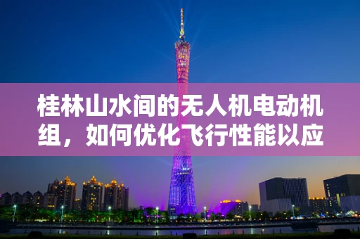 桂林山水间的无人机电动机组，如何优化飞行性能以应对复杂地形？