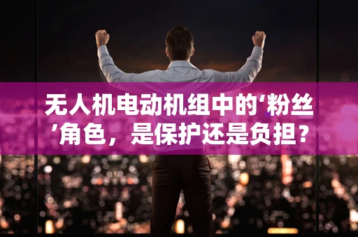 无人机电动机组中的‘粉丝’角色，是保护还是负担？