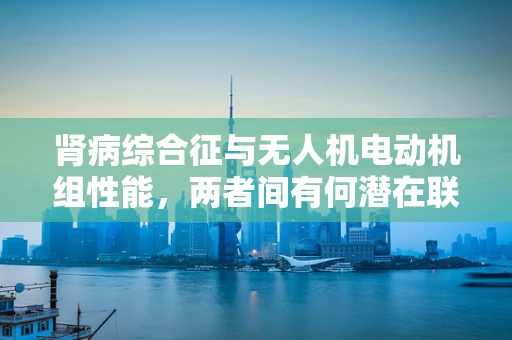 肾病综合征与无人机电动机组性能，两者间有何潜在联系？