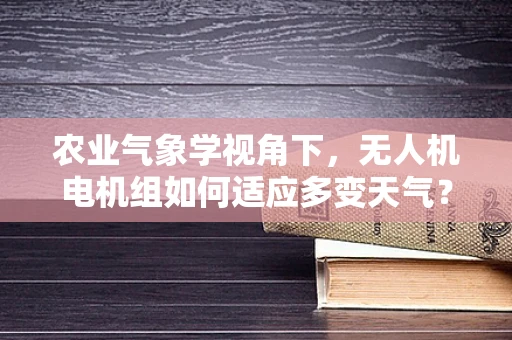 农业气象学视角下，无人机电机组如何适应多变天气？