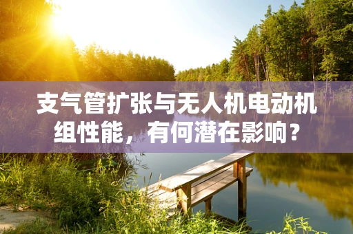 支气管扩张与无人机电动机组性能，有何潜在影响？