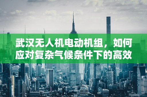 武汉无人机电动机组，如何应对复杂气候条件下的高效运行？