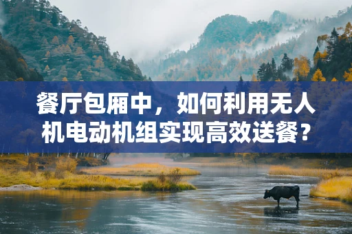 餐厅包厢中，如何利用无人机电动机组实现高效送餐？