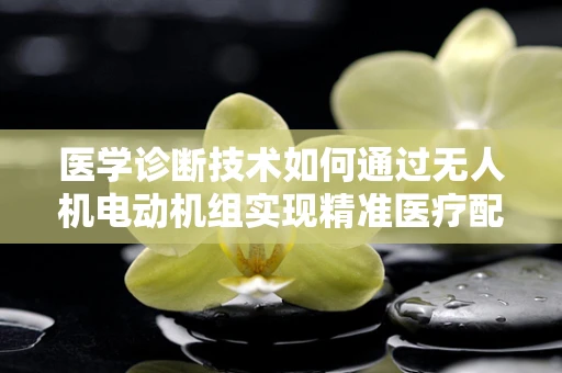 医学诊断技术如何通过无人机电动机组实现精准医疗配送？