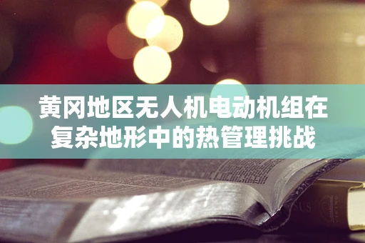黄冈地区无人机电动机组在复杂地形中的热管理挑战
