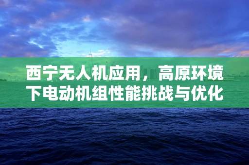 西宁无人机应用，高原环境下电动机组性能挑战与优化策略