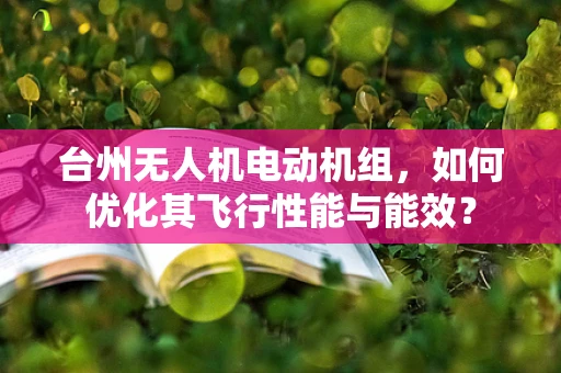 台州无人机电动机组，如何优化其飞行性能与能效？