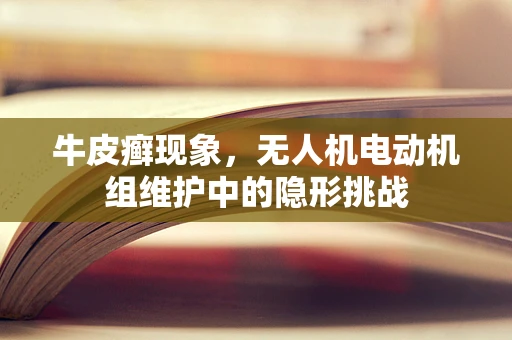 牛皮癣现象，无人机电动机组维护中的隐形挑战