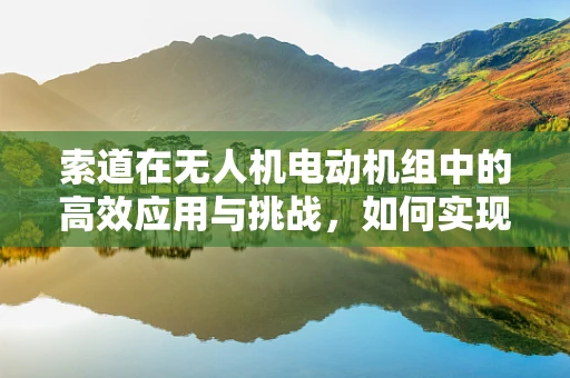 索道在无人机电动机组中的高效应用与挑战，如何实现精准定位与稳定传输？