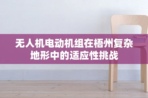 无人机电动机组在梧州复杂地形中的适应性挑战