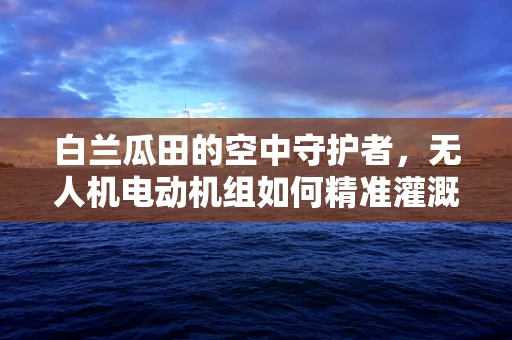 白兰瓜田的空中守护者，无人机电动机组如何精准灌溉？