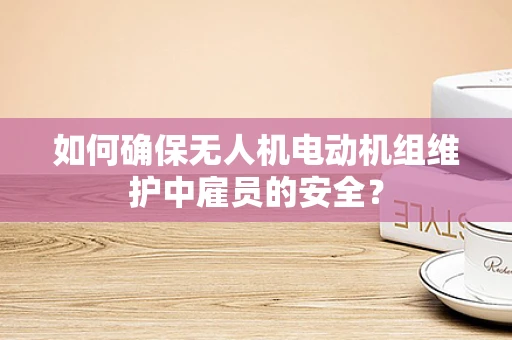 如何确保无人机电动机组维护中雇员的安全？