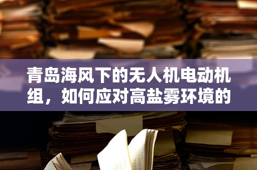 青岛海风下的无人机电动机组，如何应对高盐雾环境的挑战？