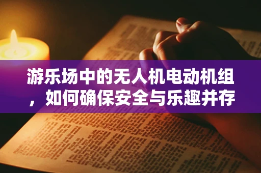 游乐场中的无人机电动机组，如何确保安全与乐趣并存的飞行体验？
