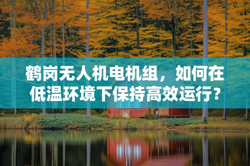鹤岗无人机电机组，如何在低温环境下保持高效运行？