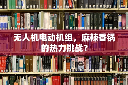 无人机电动机组，麻辣香锅的热力挑战？
