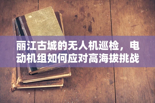 丽江古城的无人机巡检，电动机组如何应对高海拔挑战？