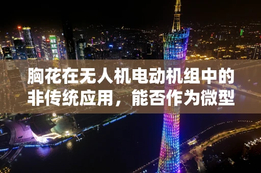 胸花在无人机电动机组中的非传统应用，能否作为微型导航标识？