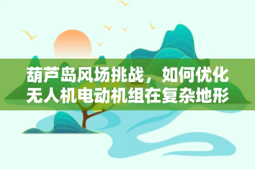 葫芦岛风场挑战，如何优化无人机电动机组在复杂地形中的效能？
